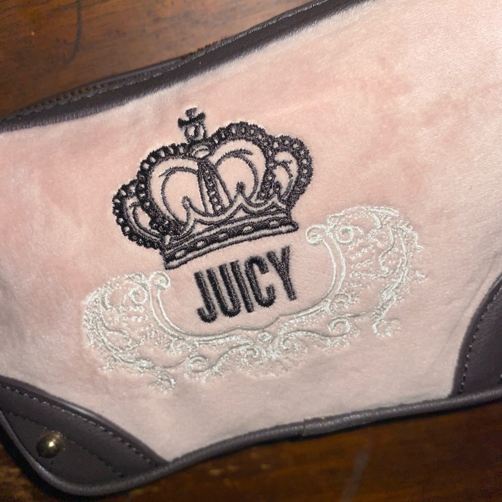 Juicy Couture Blush and Chocolate Pouch